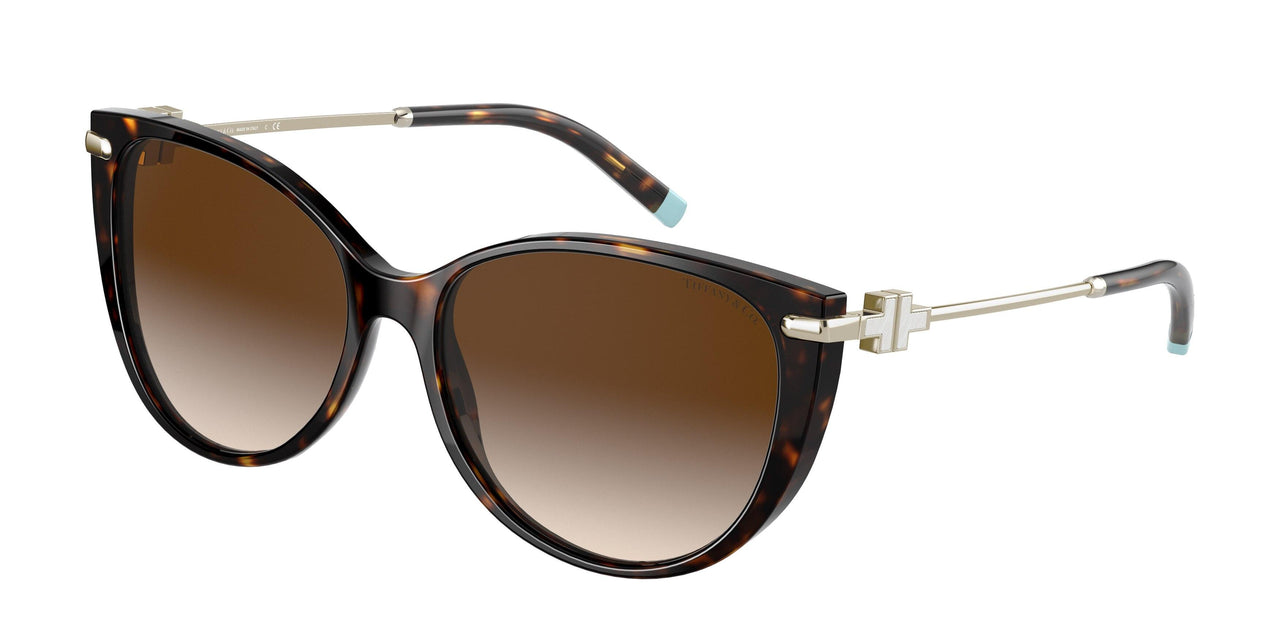 80153B - Havana - Brown Gradient
