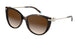 80153B - Havana - Brown Gradient