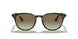 731/E8 - Havana Grey