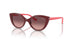 27768D - Bordeaux - Light Pink Gradient Pink