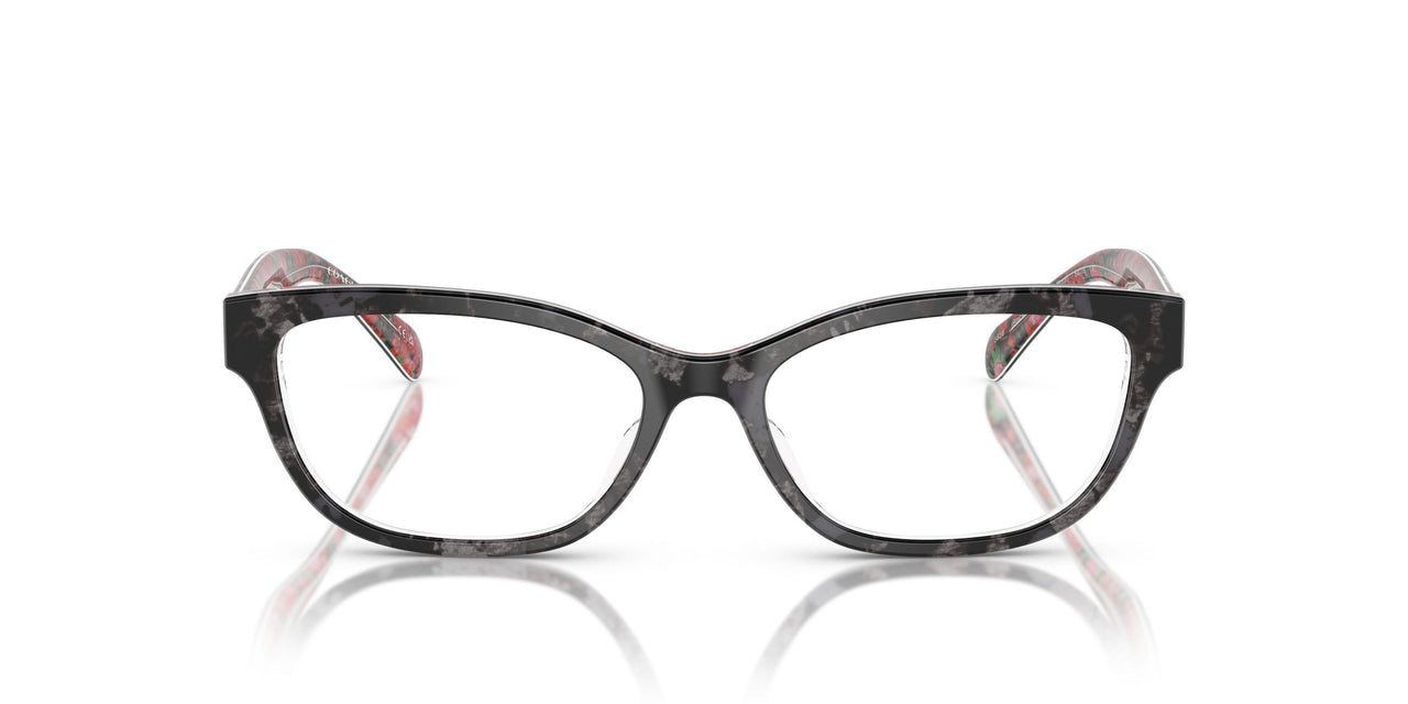5856 - Black