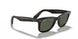 902/58 - Tortoise - Crystal Green Polarized