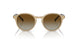 W900T5 - Brown - Polar Brown Gradient