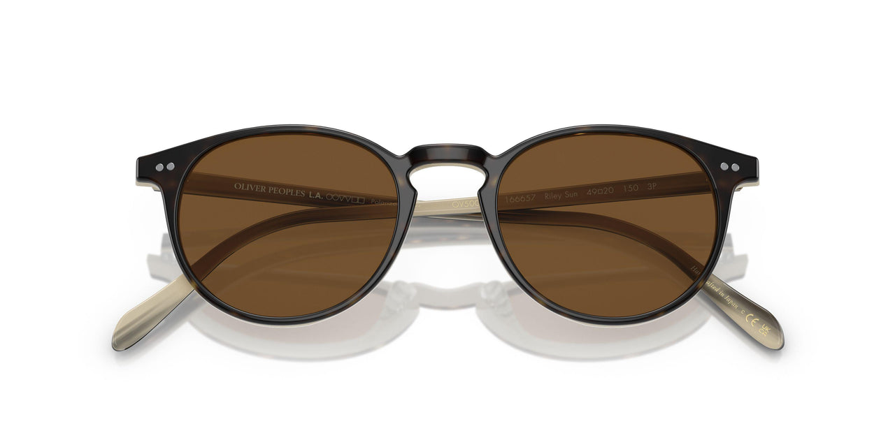 166657 - Brown - True Brown Polarized