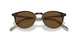 166657 - Brown - True Brown Polarized