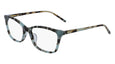 320 - Teal Tortoise