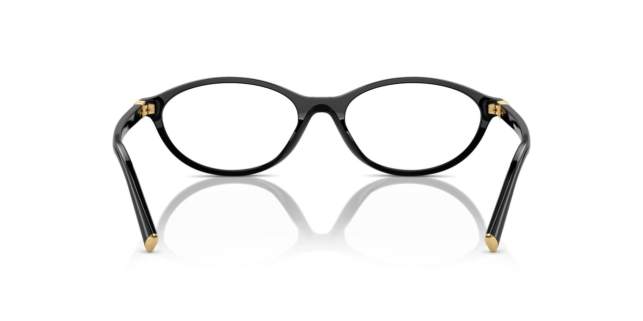 16K1O1 - Black