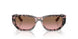 315014 - Tortoise - Pink Gradient Brown
