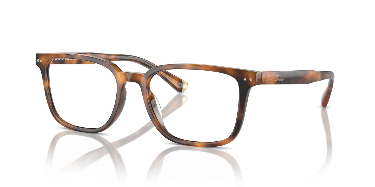 6161 - Tortoise