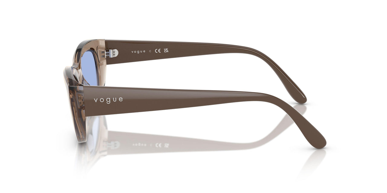 318172 - Brown - Blue