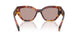 22A20I - Tortoise - Light Purple Brown