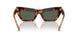 331671 - Tortoise - Dark Green