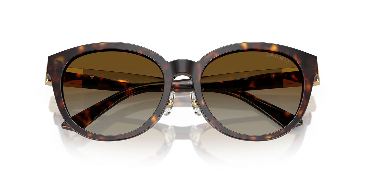 5002T5 - Tortoise - Brown Gradient Polar
