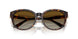 5002T5 - Tortoise - Brown Gradient Polar