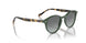 309211 - Green - Grey Gradient