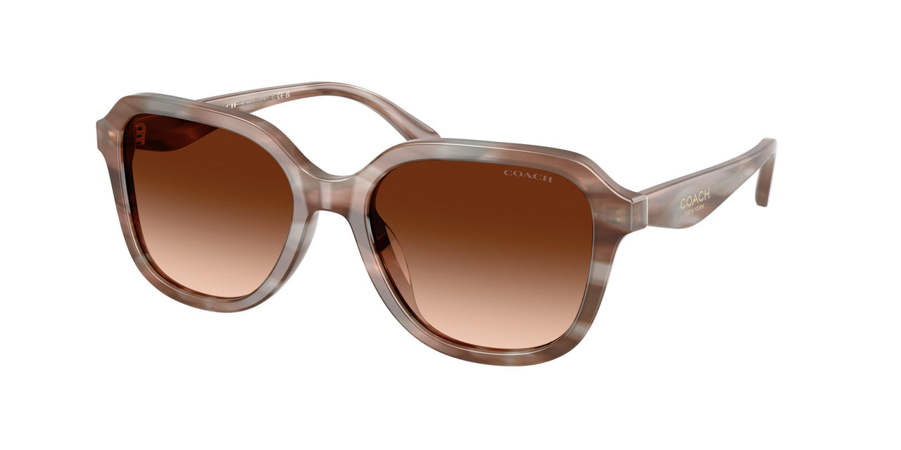 Coach Cby87 8437U Sunglasses
