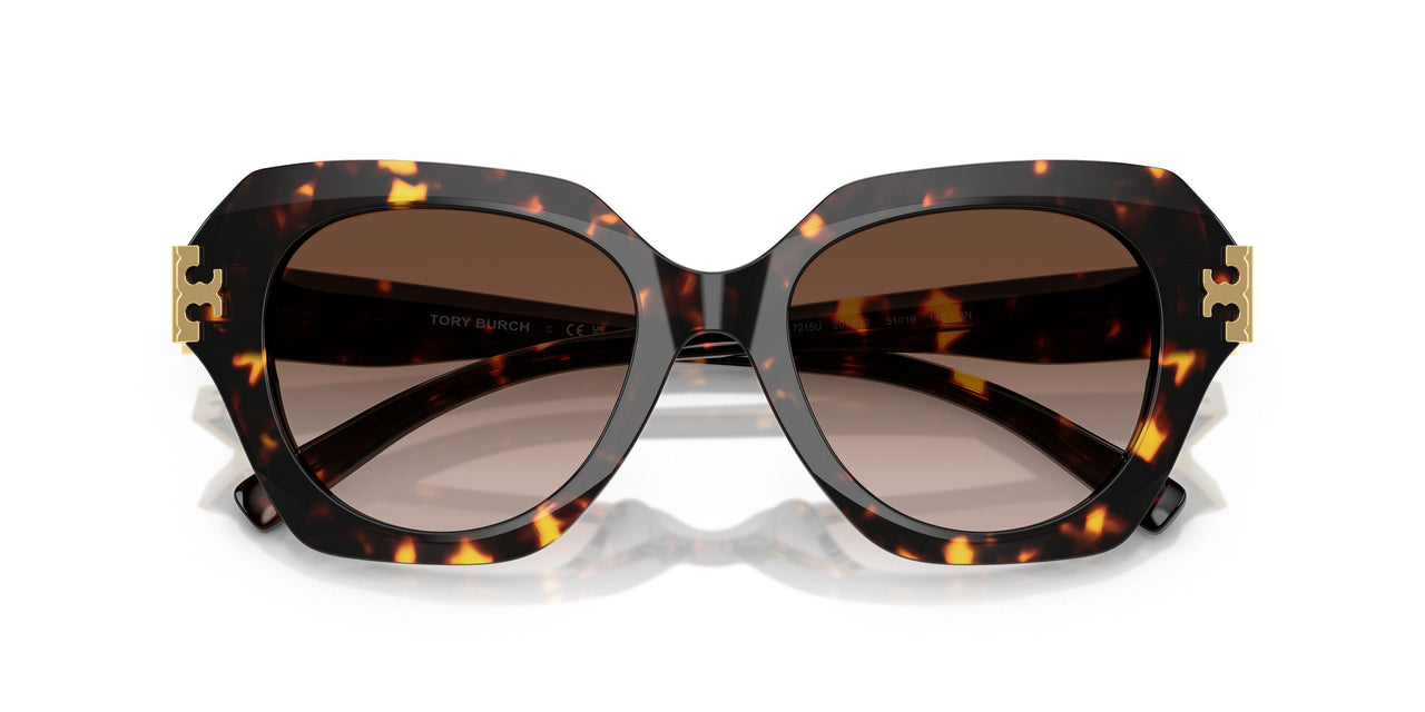 201613 - Tortoise - Brown Gradient