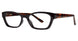 BLCKTRTS - Black/Tortoise