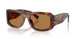 306373 - Tortoise - Bronze