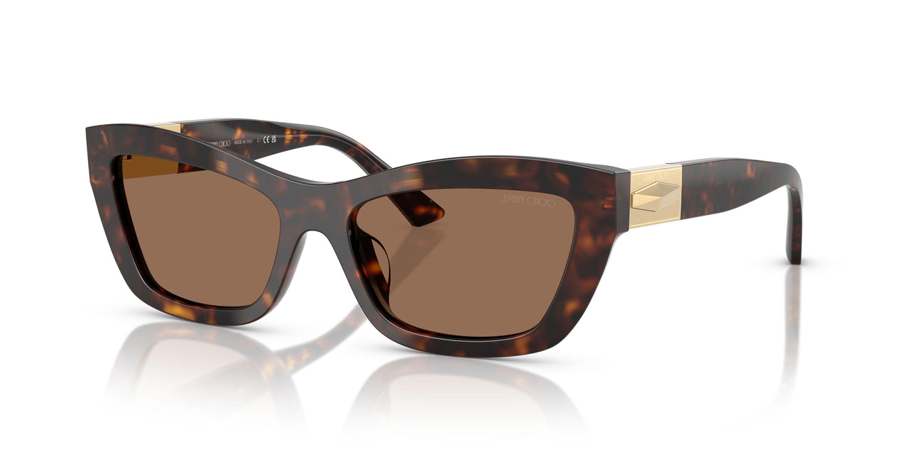 500273 - Tortoise - Dark Brown