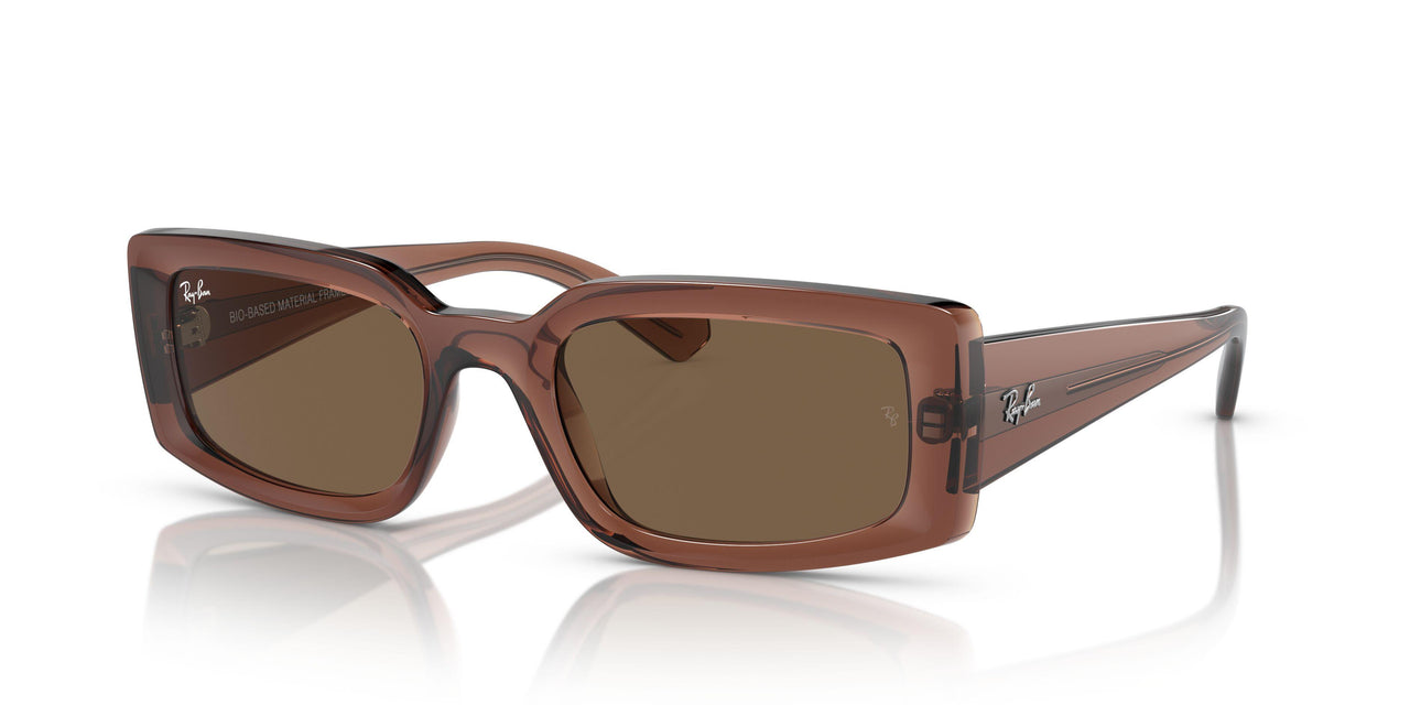 667873 - Brown - Dark Brown
