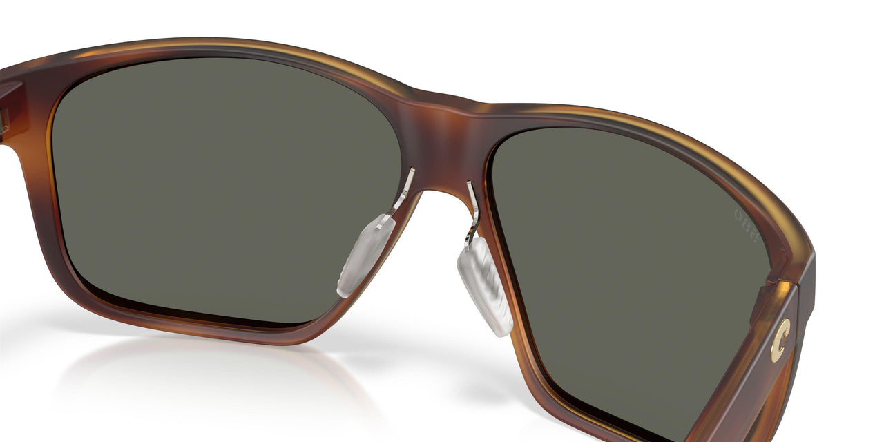 912805 - Tortoise - Gray