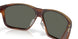 912805 - Tortoise - Gray
