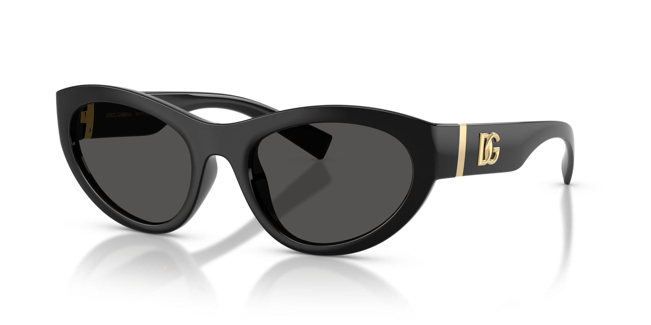Dolce & Gabbana 6207 Sunglasses