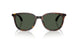 30029A - Tortoise - Polar Solid Green