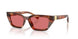 322175 - Tortoise - Red