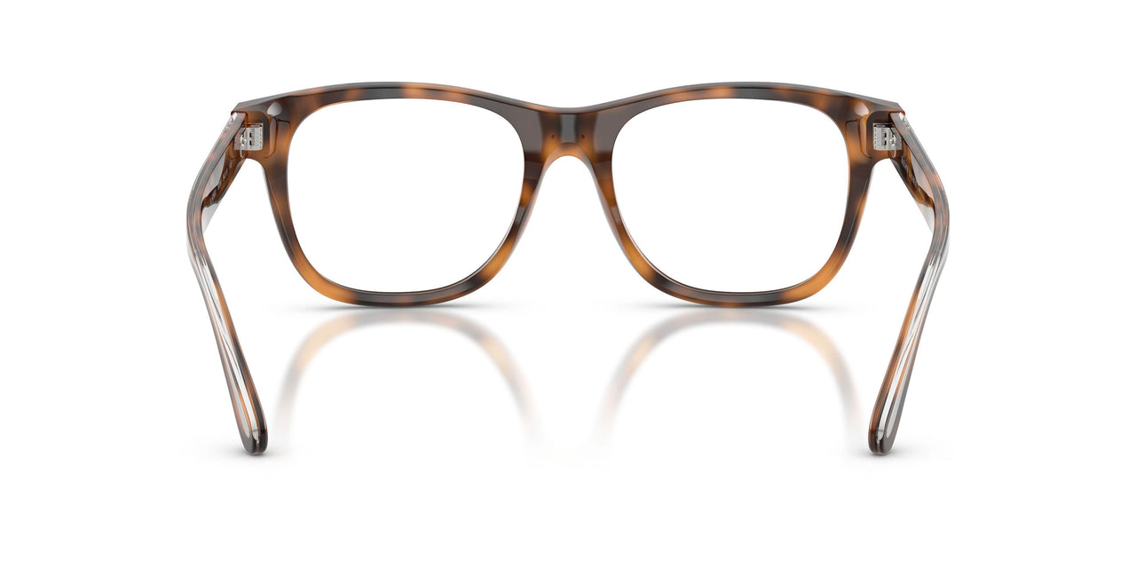 6089 - Tortoise