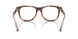 6089 - Tortoise