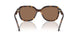 512073 - Tortoise - Brown Solid