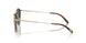 533052 - Tortoise - G-15