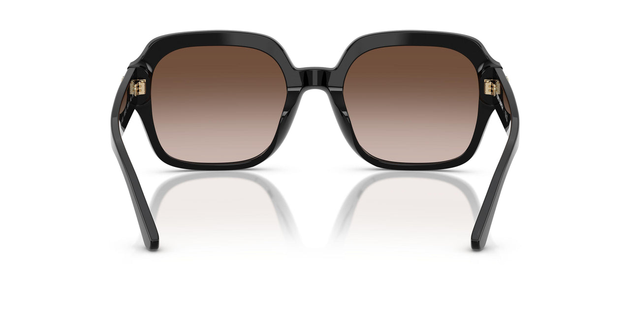 170913 - Black - Dk Brown Gradient