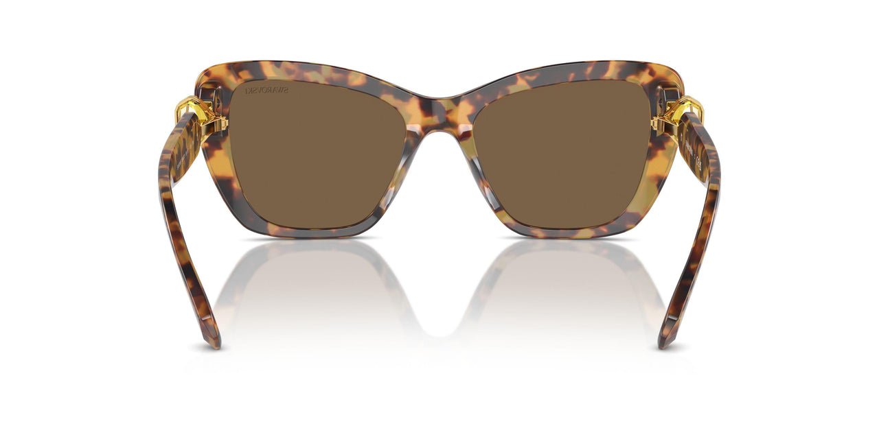 104073 - Tortoise - Dark Brown