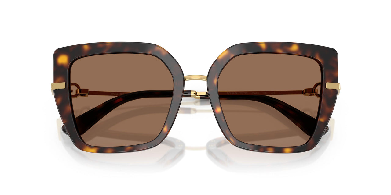 502/73 - Tortoise - Dark Brown