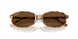 135757 - Brown - Brown Polarized