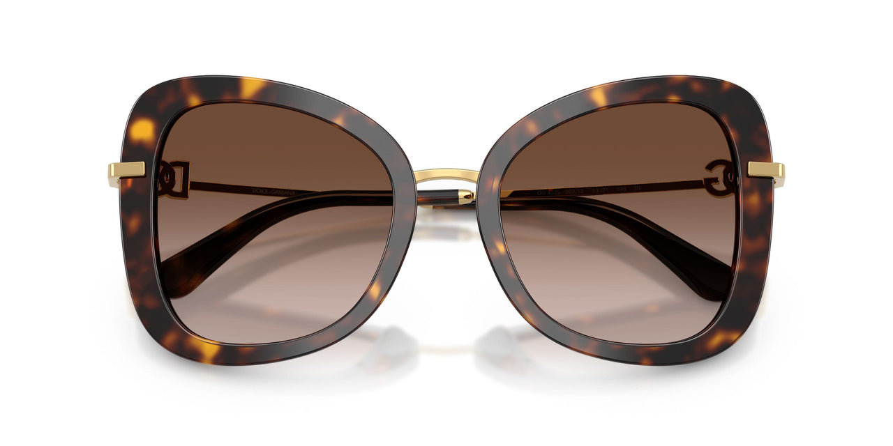 502/13 - Tortoise - Brown Gradient