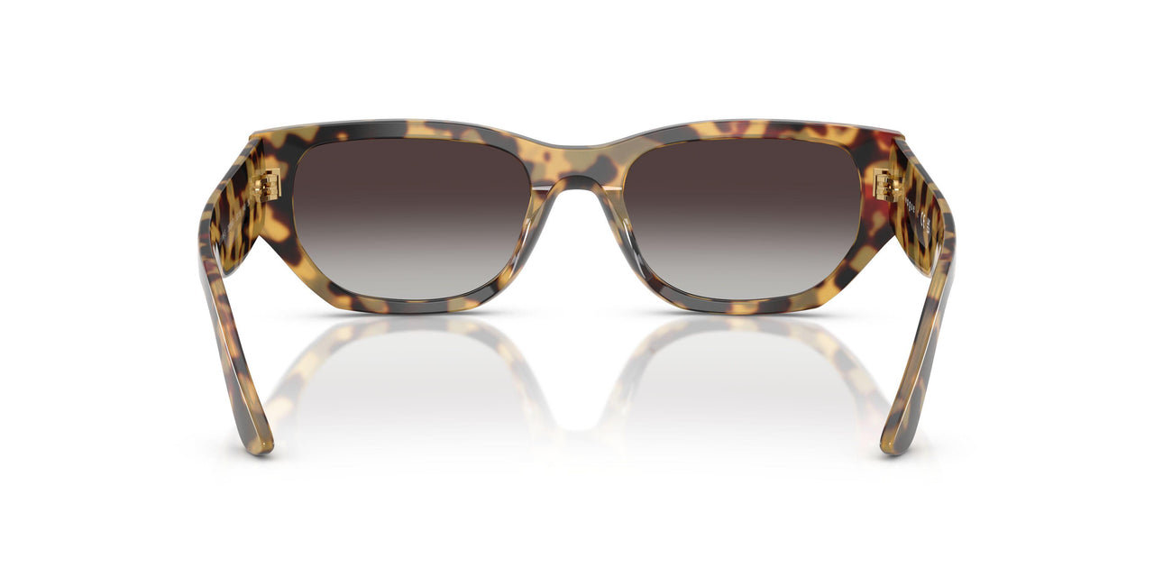 26058G - Tortoise - Grey Gradient