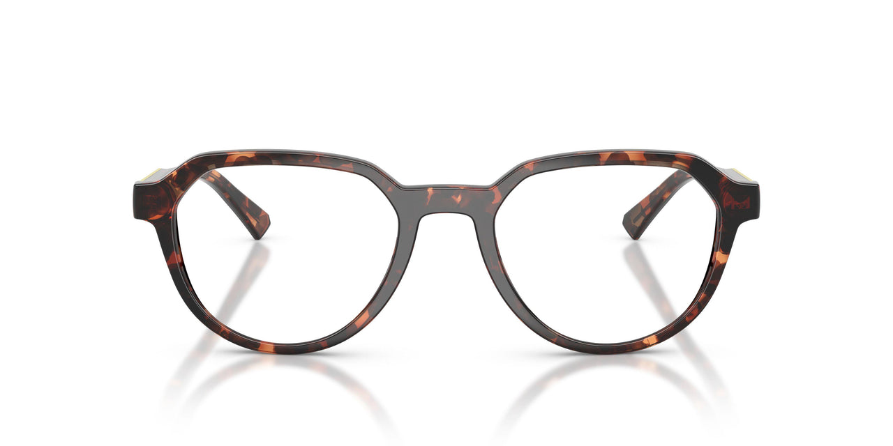 300613 - Tortoise - Smoke Gradient