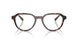 300613 - Tortoise - Smoke Gradient