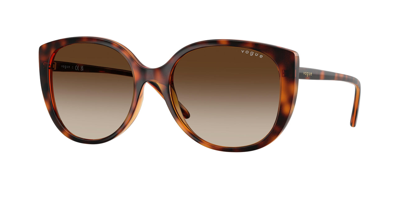 W65613 - Brown - Gradient Brown