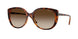 W65613 - Brown - Gradient Brown