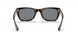 902/R5 - Havana - Blue