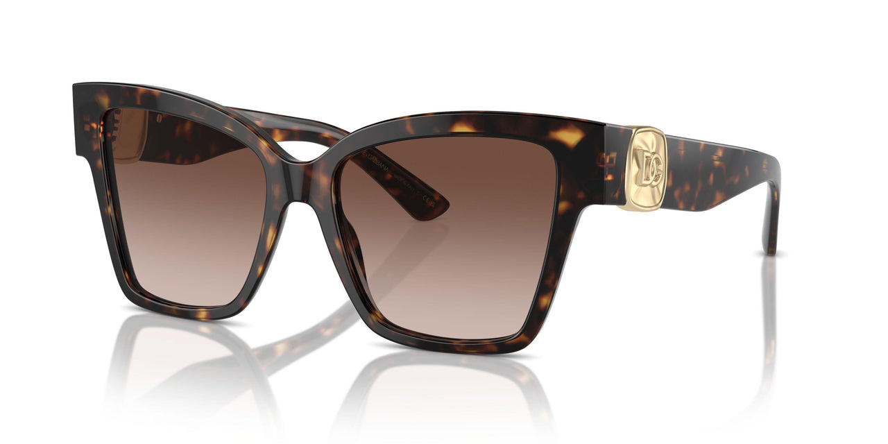 502/13 - Tortoise - Brown Gradient