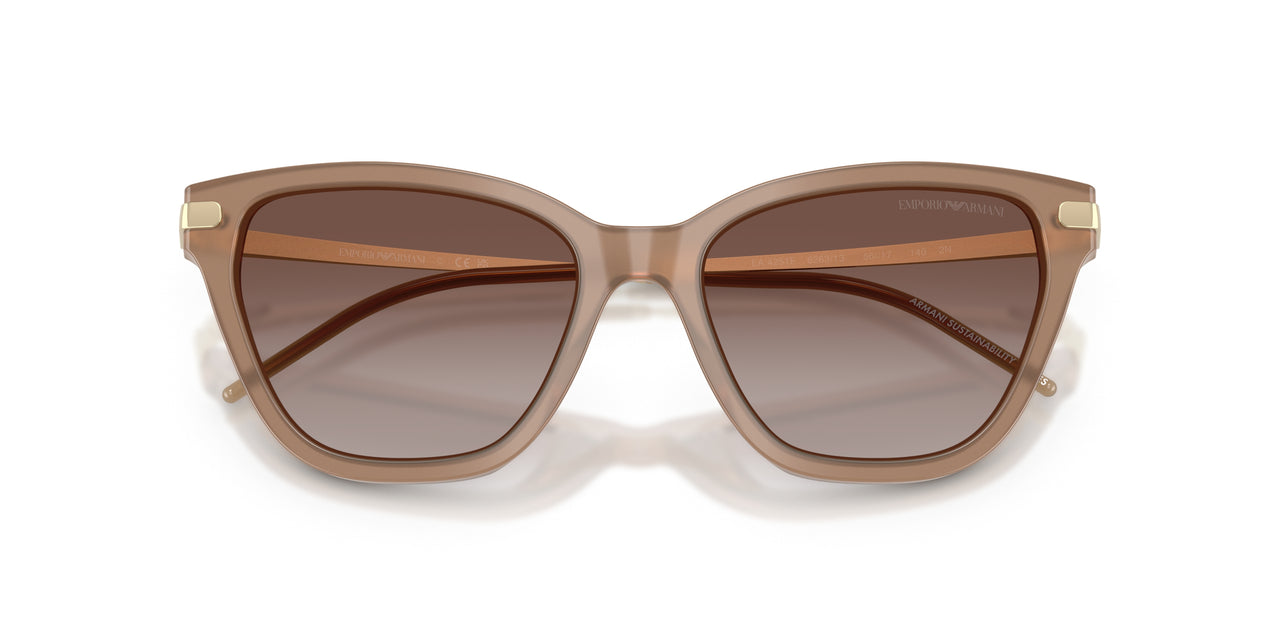 626313 - Brown - Gradient Brown