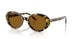 177853 - Tortoise - True Brown