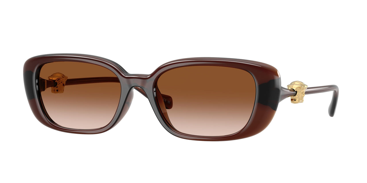 533213 - Brown - Brown Gradient