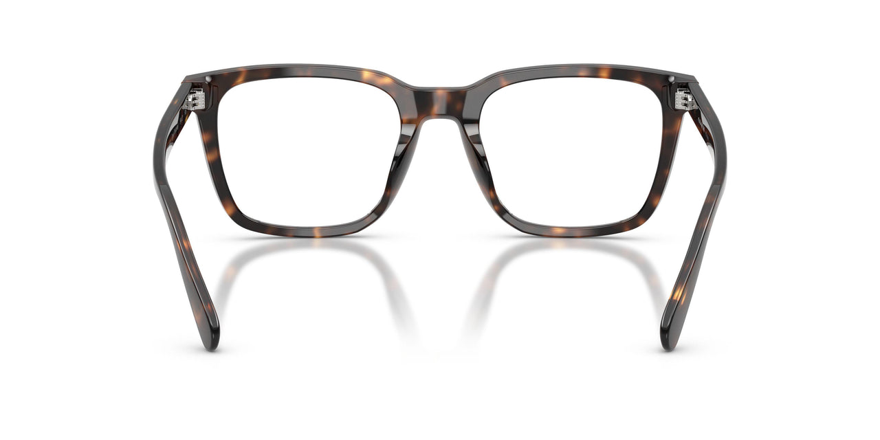 5120 - Tortoise